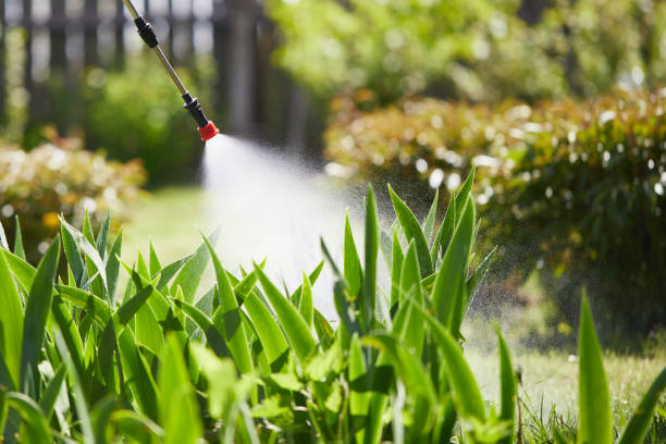 Tamper-Resistant Bait Stations for Rodents in East Rockingham