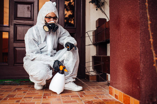 Attic and Crawl Space Rodent Treatment in East Rockingham